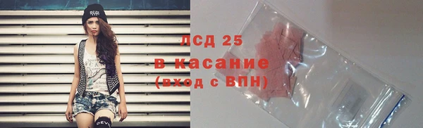 твердый Горняк