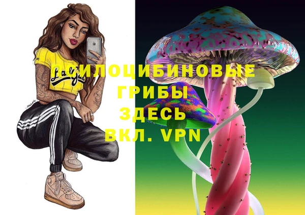 марки nbome Горнозаводск
