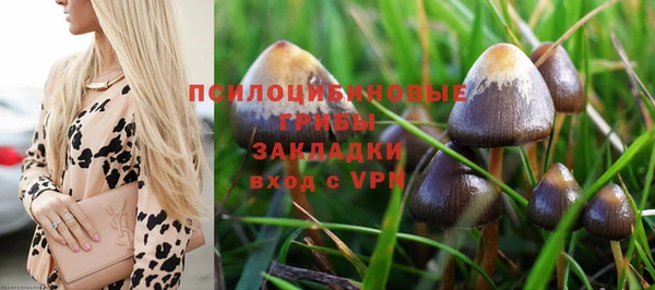 спайс Покачи