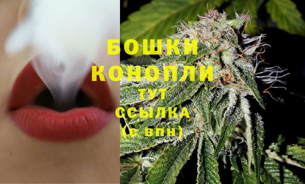 твердый Горняк