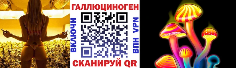 hydra   Заволжье  Галлюциногенные грибы MAGIC MUSHROOMS 