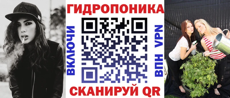 ссылка на мегу вход  купить наркотики сайты  Заволжье  Канабис гибрид 
